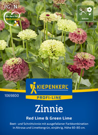 Bunte Zinnien in Rot- und Limettengrün auf blauem Hintergrund, Kiepenkerl Logo, Pflanzenschnitt Symbol.