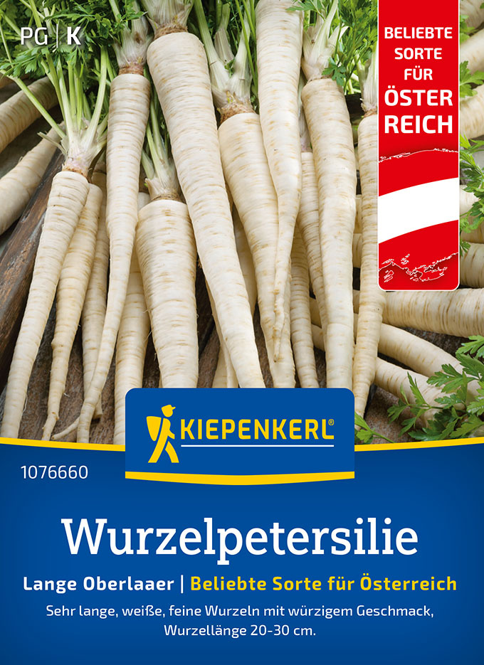 Wurzelpetersiliesamen Lange Oberlaaer