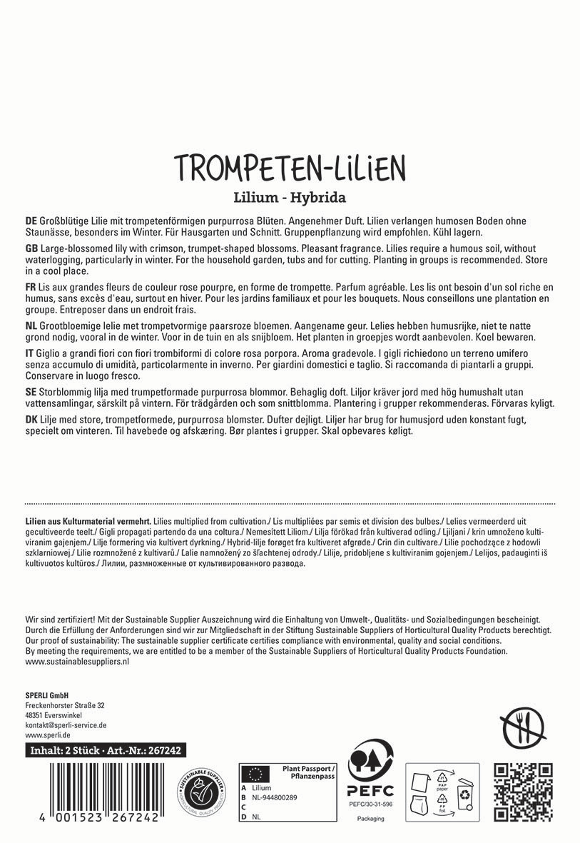 Großblütige Lilie mit trumpetförmigen purpurrosa Blüten. Text auf mehrsprachiger Packungsrückseite.