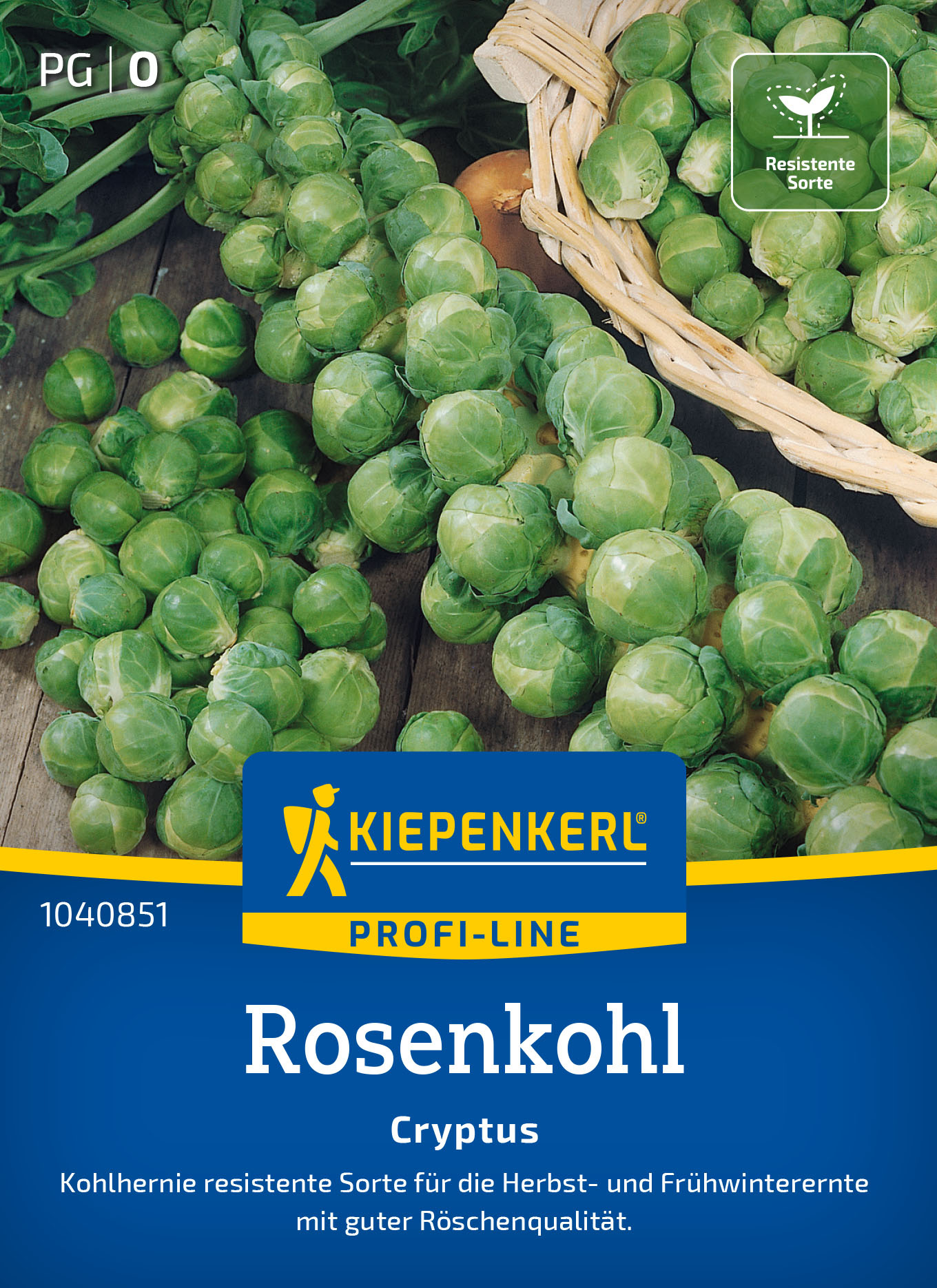 Rosenkohlsamen Cryptus, F1