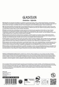 Beschreibung des Bildinhalts: Text auf einem weißen Hintergrund über Gladiolen, mit Produktinformationen, Zertifizierungen und Logos.