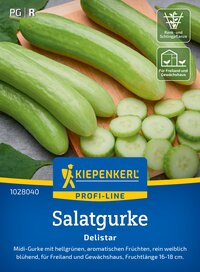 Gurken in verschiedenen Längen auf Holzbrett, einige in Scheiben geschnitten, mit grüner Blätter im Hintergrund.