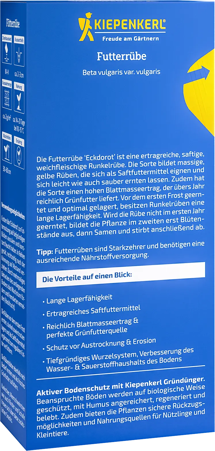 Futterrübe Eckdorot, 60 g