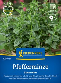 Pflanzen mit grünen, gezackten Blättern auf Bewässerungstablett, Verpackung für Pfefferminze, Marke Kiepenkerl.
