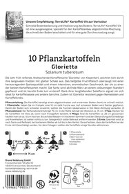 Pflanzkartoffel  Glorietta, 10 Stück
