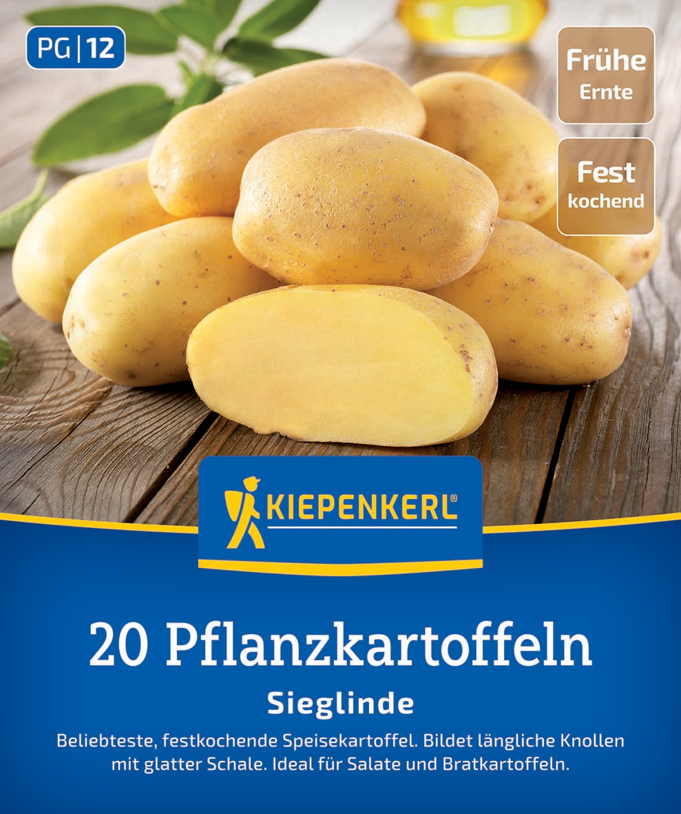 Mehrere gelbe Gartenkartoffeln mit glatter Schale auf Holzuntergrund, teilweise geschält.