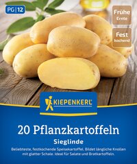Mehrere gelbe Gartenkartoffeln mit glatter Schale auf Holzuntergrund, teilweise geschält.