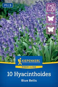 Hasenglöckchen Blue Bells