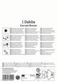Kärtchen mit Pflegehinweisen und Pflanzenerklärung für eine Dahlie.