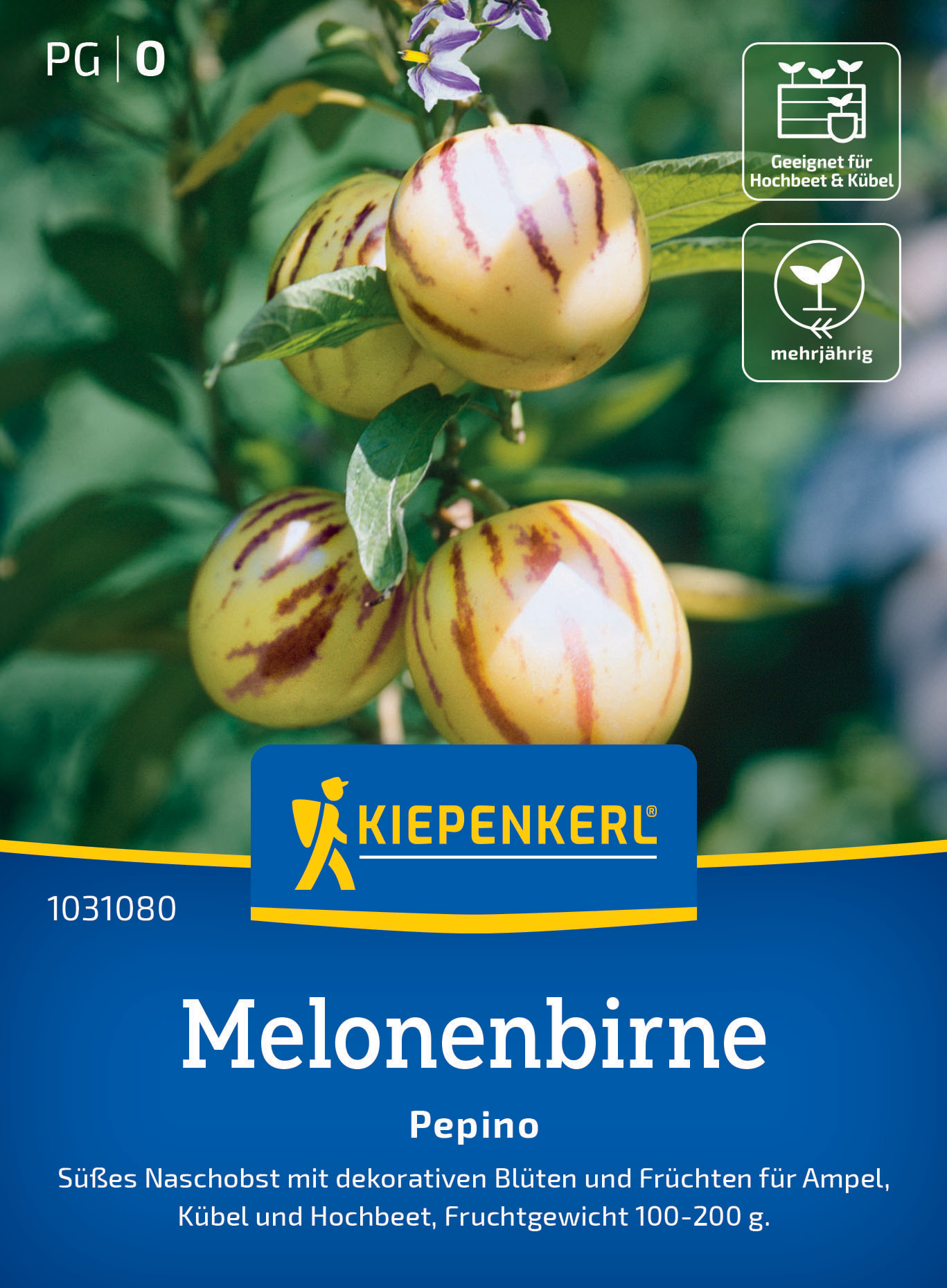Vier Melonenbirnen an einem Zweig, grüne Blätter im Hintergrund.