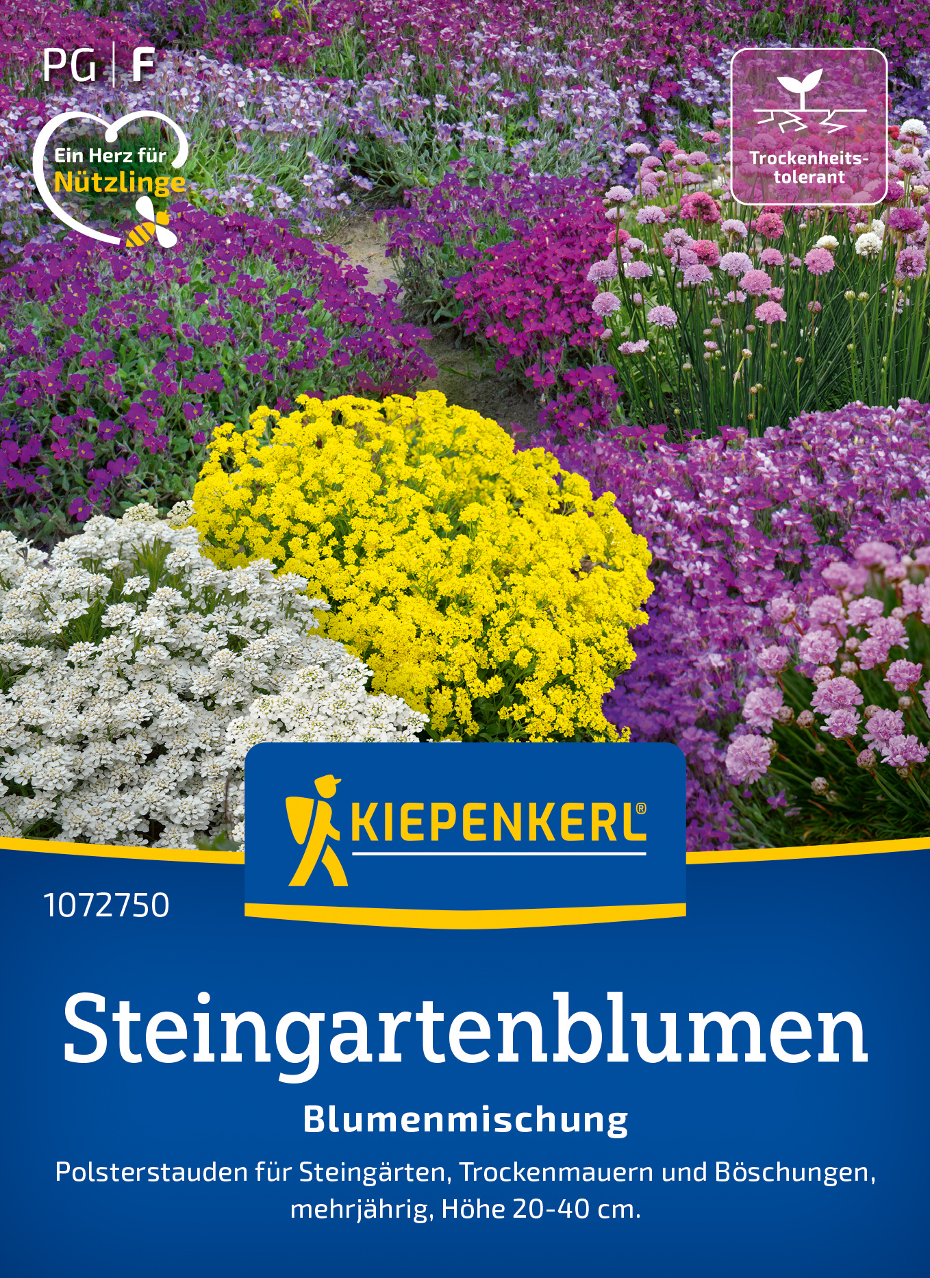 Bunte Stauden im Beet mit gelben, weißen und lila Blumen, Kiepenkerl Steingartenblumen Blumemischung.