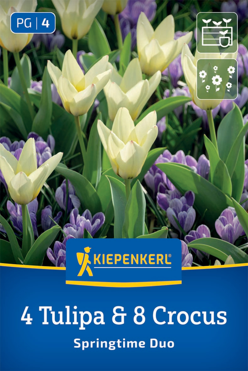 Blumenzwiebelmischung Springtime Duo
