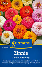 Bunte Zinnien in verschiedenen Farben, großblumig und reich blühend, im Garten oder als Schnittblumen.