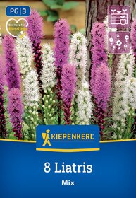 Bunte Lilienblüten in Weiß, Rosa und Lila wachsen vor Baumstamm.
