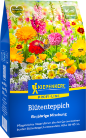 Blumensamen-Mischung Blütenteppich