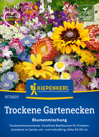 Bunte Trockenblumenmischung für robuste Gartenaromen, mit Bienen auf den Blüten.