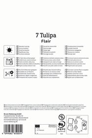 Einfache Frühe Tulpe Flair
