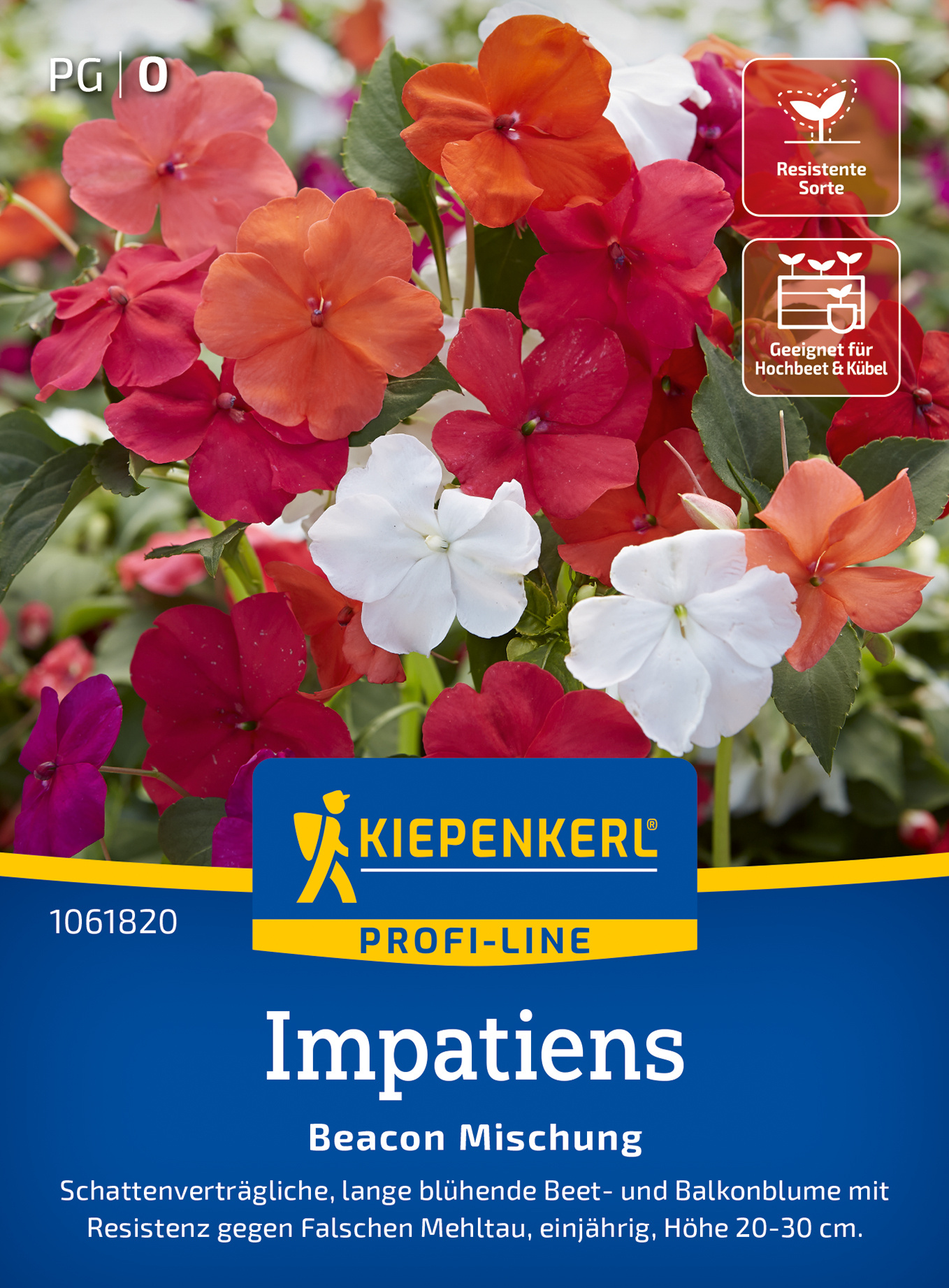 Impatienssamen Beacon Mischung, F1