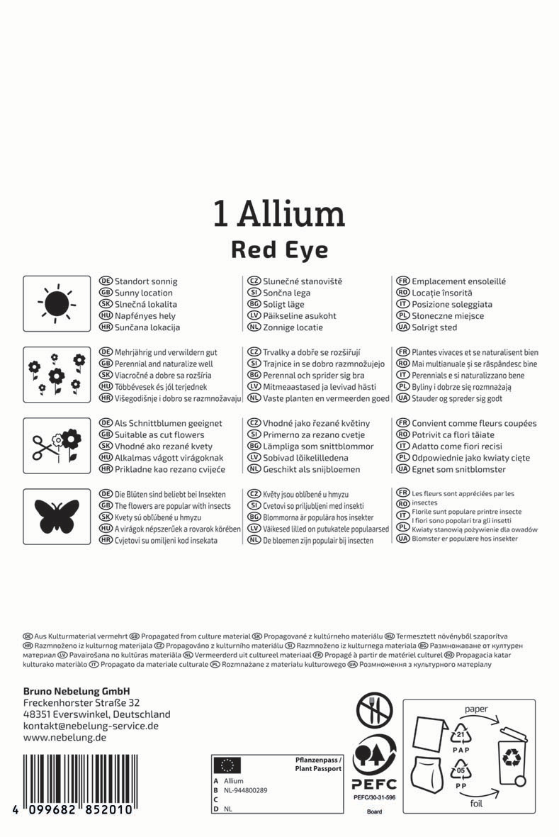 Zierlauch Red Eye
