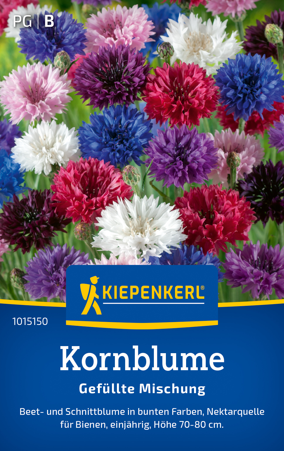 Kornblumensamen Gefüllte Mischung