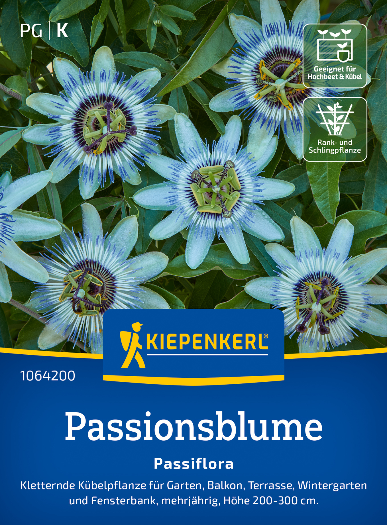 Passionsblumensamen Passiflora