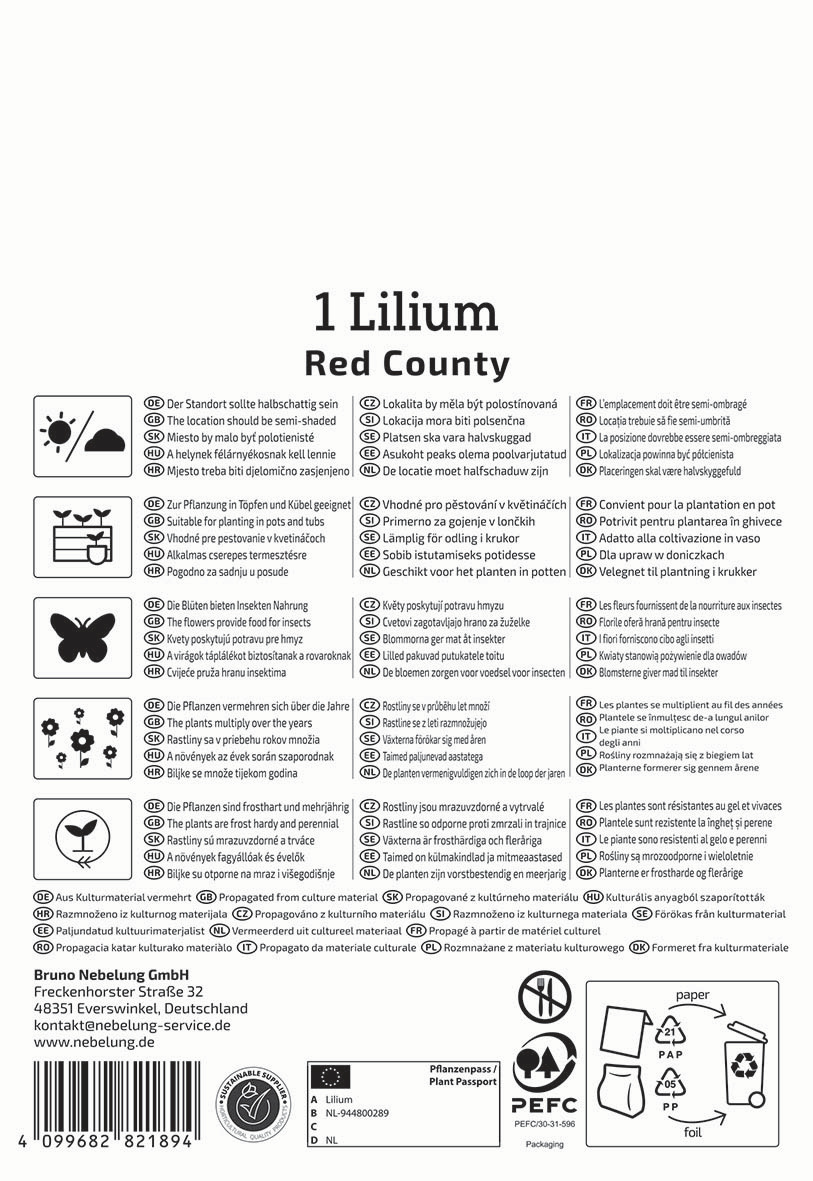 Anleitungstext und Symbole für eine Lilium-Pflanze, Standort, Pflege, Giftigkeit, Recycling, Kontaktinformationen.