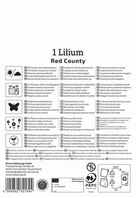 Anleitungstext und Symbole für eine Lilium-Pflanze, Standort, Pflege, Giftigkeit, Recycling, Kontaktinformationen.