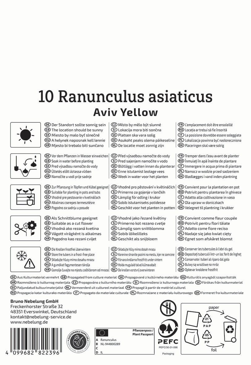Verpackungsbeilage mit Pflanzhinweisen und Pflegeetikett für Ranunculus asiaticus in mehreren Sprachen.