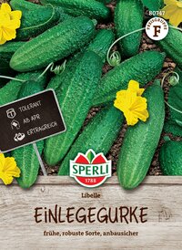Einlegegurkensamen Libelle, F1