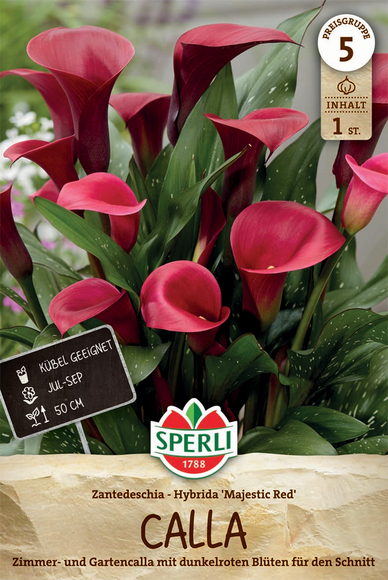 Calla Majestic Red