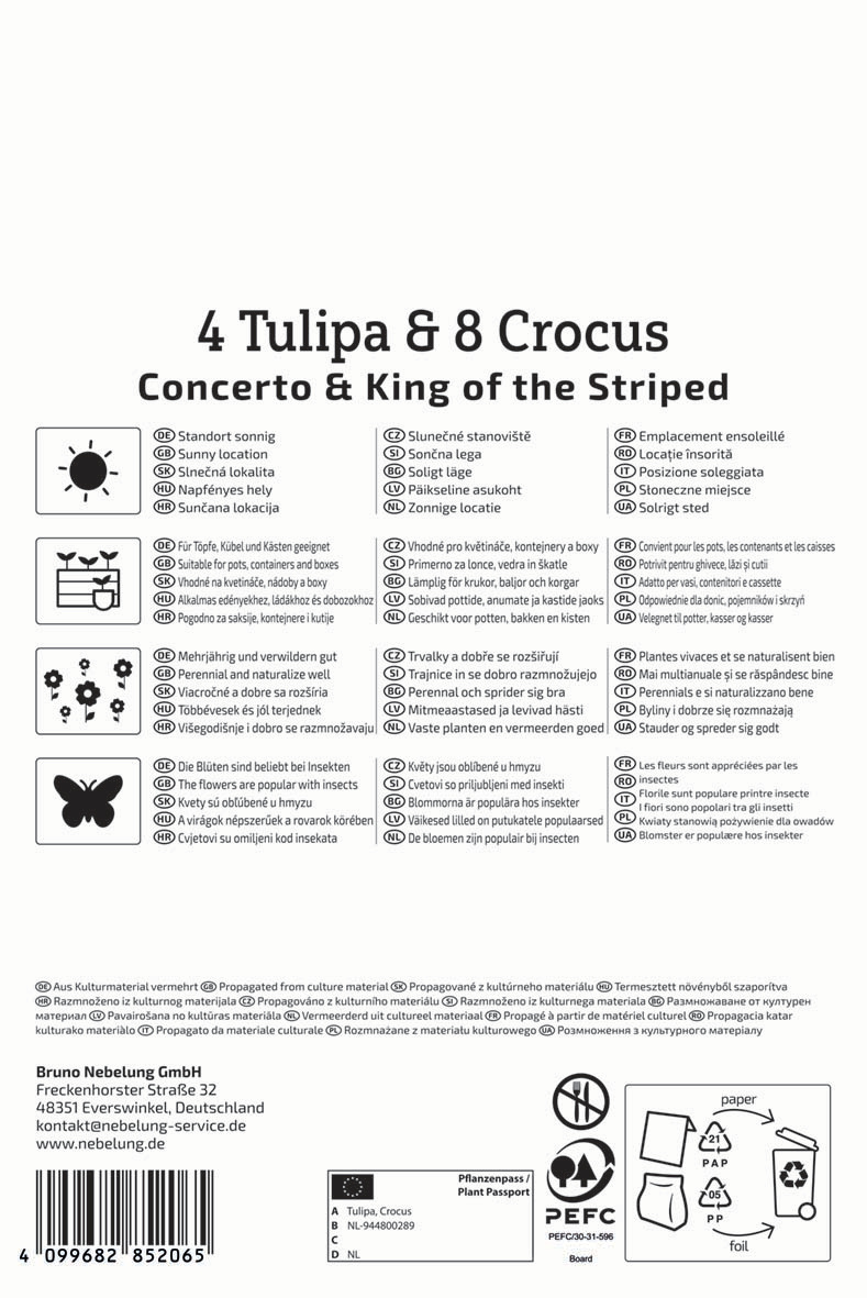 Blumenzwiebelmischung Springtime Duo