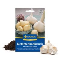 Elefantenknoblauch