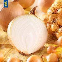 Zwiebeln und Knoblauch in einer Netztasche auf einem Tisch.