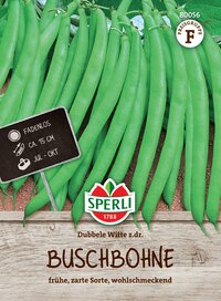 Grüne Buschbohnen, ca. 15 cm lang, frühe und zarte Sorte, wohlschmeckend, Juli bis Oktober.