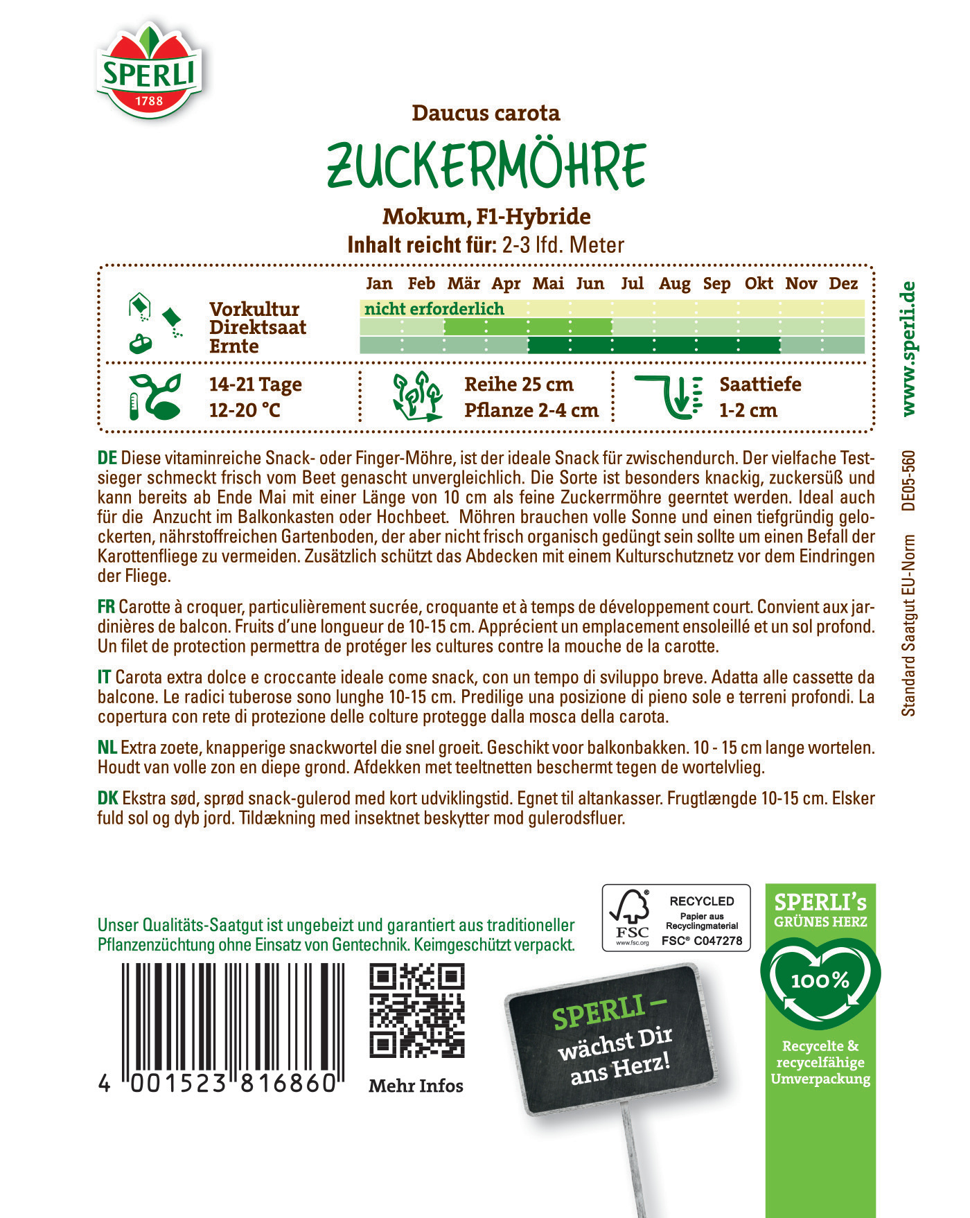 Zuckermöhre mit grünen Blättern, gelber Knolle, im Topf.