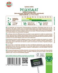 Bunte Pflücksalatblätter, auf einem weißen Hintergrund.