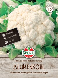 Blumenkohlkopf mit grünen Blättern, auf Holzuntergrund, Verpackung.
