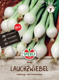 Weiße Lauchzwiebeln auf einem Korb, mit Schild und Label, Frühsommer- oder Perlzwiebel, Frische Produktion.