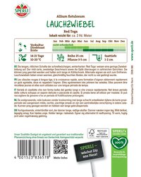 Lauchzwiebel mit grünem Stiel, lange, rote Schale, kurzer Wuchs, auf dem Bild.