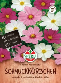 Bunte Cosmea-Blumen in Weiß, Pink und Dunkelrot, Verpackung mit Blumenmotiv und Produktinformationen.