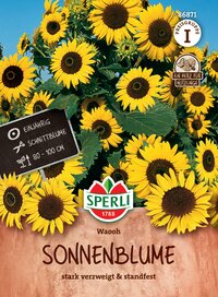 Sonnenblumen - Saatgut online bestellen