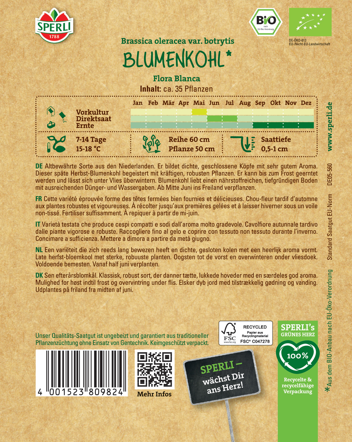 Blumen-Kohlsamen, ca. 35 Pflanzen, direkt säen, frosthart, Blütenzeit Juni bis September