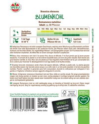 Blumenkohl Pflanze, ca 60, wächst von Januar bis Dezember, dunkelgrün, 7-14 Tage, 15-18 Grad, 50 cm Höhe, 0,5-1 cm Tiefe.