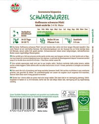 Schwarzwurzel mit langen Wurzeln, dunkle Rinde, Entwicklung 6-8 Monate, regelmäßige Wassergaben
