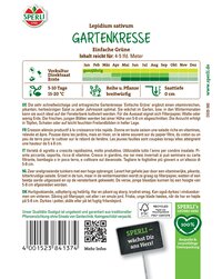 Grüner Gartenkresse mit jungen Blättern, in kleinen Töpfen auf feuchtem Boden.