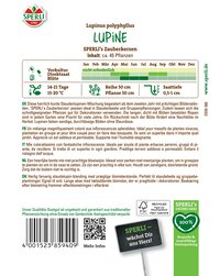 Bunte Staudenlupinen-Mischung, 45 Pflanzen, lang, dicht mit Blüten, für Gartenbeete und Gruppen.