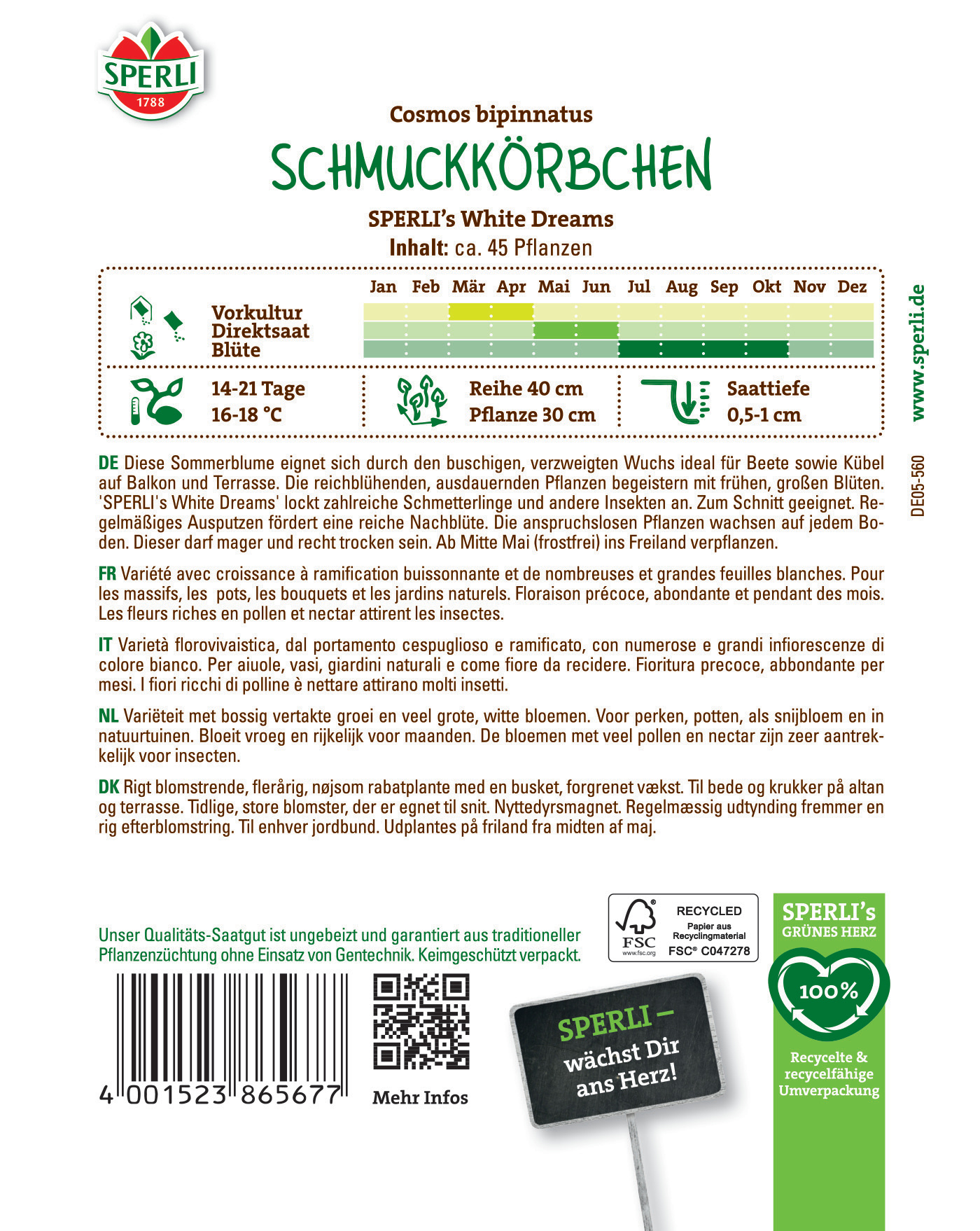 Weiß blühende Schmuckkörbchen mit kleinen Blättern, wächst in nährstoffreichen Böden, Frühjahr bis Sommer.