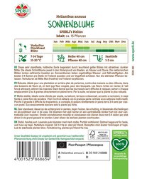Sonnenblumen fröhliche gelbe Blüten, wächst von Mai bis Oktober, erreicht 40 cm Höhe.