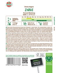 Bunte Zinnien Mischung, mit ca. 40 Pflanzen, blüht im Sommer, 0,5 cm tief, 18-22 Grad, für Balkon und Terrasse.