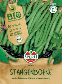 Stangenbohnen mit grünen Schoten, schwarze Bohnen, grüne Blätter, braune Papiertüte.